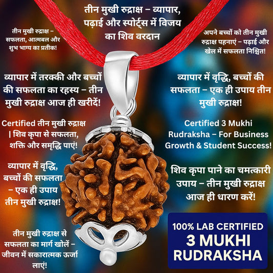 3 Mukhi Rudraksha For Business Study And Sports Success and Career