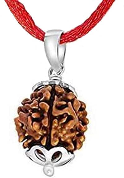 3 Mukhi Rudraksha For Business Study And Sports Success and Career