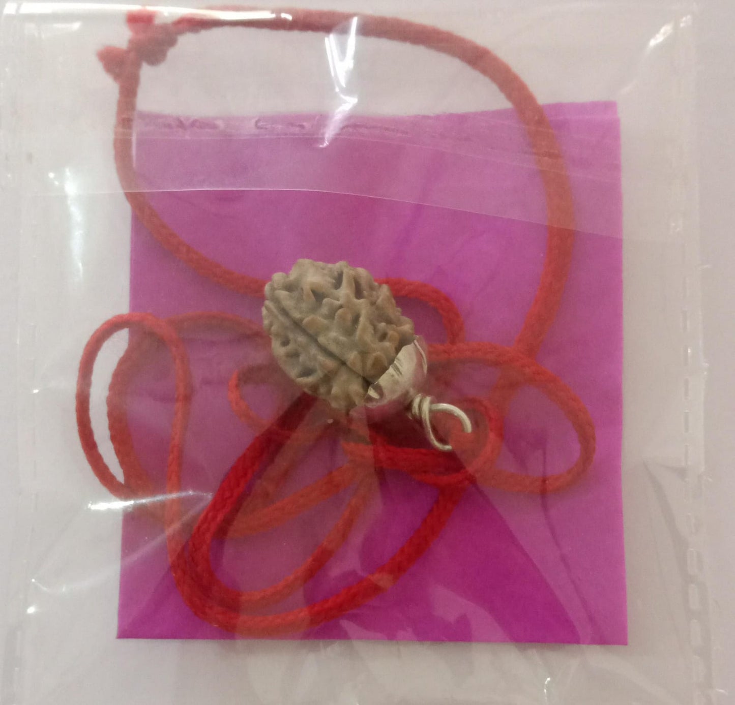 3 Mukhi Rudraksha For Business Study And Sports Success and Career